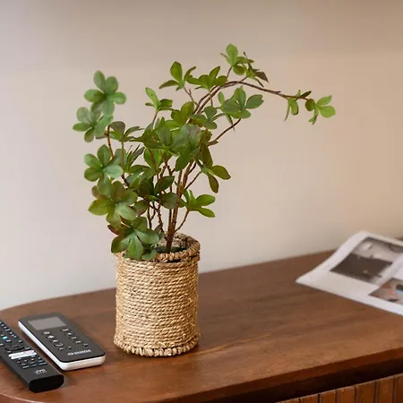 Daire Suityrhome Rionemonti2 *